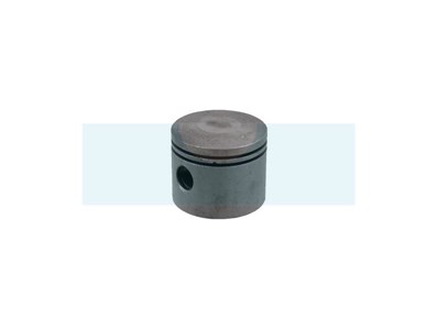 Piston pour moteur Kawasaki (130012166)