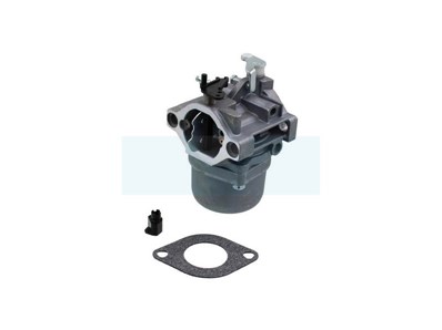 Carburateur pour moteur Briggs & Stratton (799728)