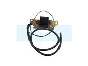 Bobine d'allumage pour moteur Lombardini (1567009)