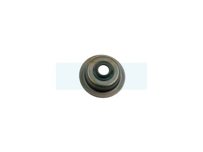 Joint de tige de soupape pour Loncin (1404000110001)