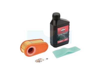 Kit entretien pour moteur Briggs & Stratton (992235)