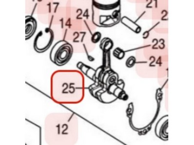 Vilebrequin pour moteur Zenoah (848F604201)