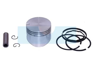 Kit piston segments pour moteur Briggs & Stratton (391674)