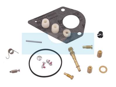 Kit réparation carburateur pour moteur Briggs & Stratton (497971)