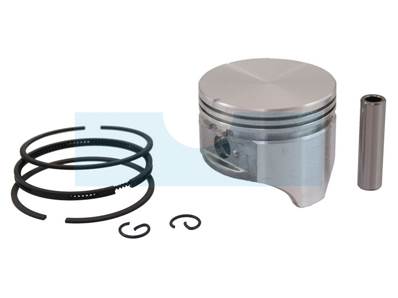 Kit piston segments pour moteur Briggs & Stratton (493262)