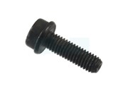 Vis itxscfm pour tronçonneuse / débroussailleuse Husqvarna (525755101)