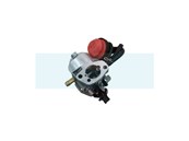 Carburateur pour moteur MTD (75110736)