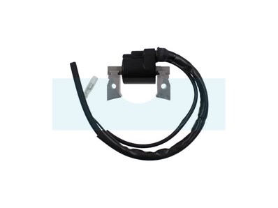 Bobine d'allumage pour moteur Kubota (1218167060)