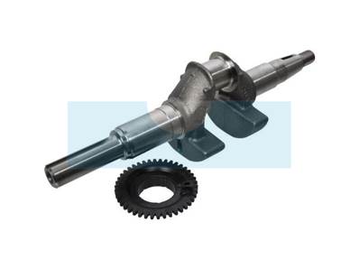 Vilebrequin pour moteur Honda (06131Z8AW00)