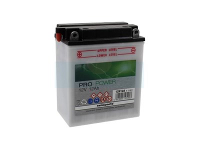 Batterie tondeuse 12V 12Ah (12N12A-4A1)