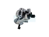 Carburateur pour moteur Briggs & Stratton (595776)