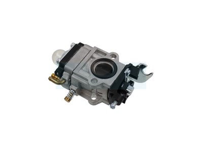 Carburateur pour moteur MTD (09263583)