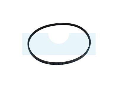 Courroie trapézoïdale pour MTD (75404182)