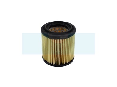 Filtre à air pour As Motor (G06305012)