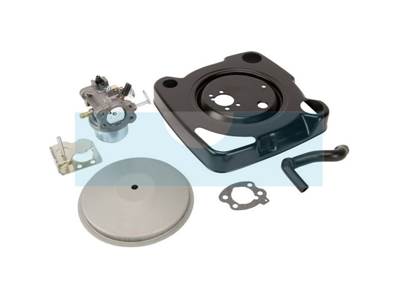 Carburateur pour moteur Briggs & Stratton (847393)