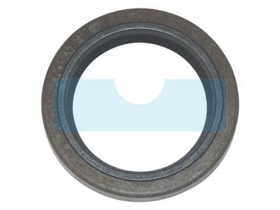 Joint spi pour moteur Briggs & Stratton (391086S)