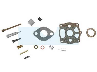 Kit réparation pour moteur carburateur Briggs & Stratton (291691)