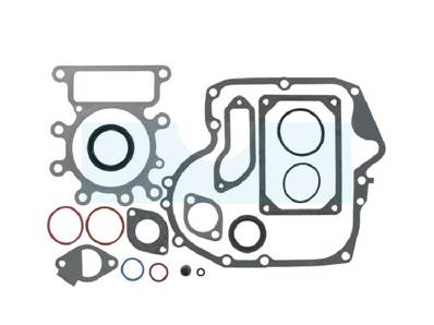 Pochette de joint pour moteur Briggs & Stratton (796181)
