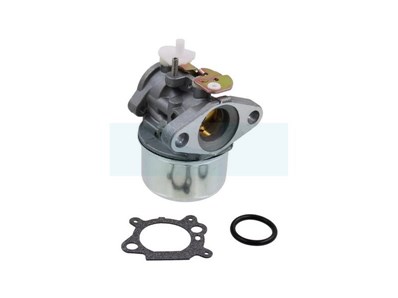Carburateur pour moteur Briggs & Stratton (499059)