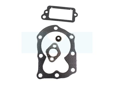 Pochette de joint pour moteur Briggs & Stratton (498526)