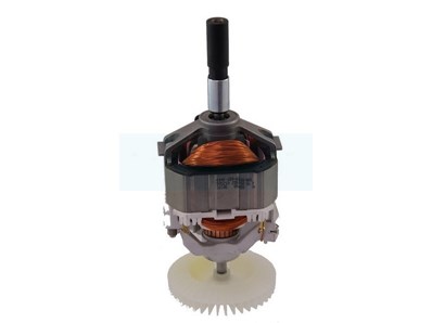 Moteur électrique 230v pour Stihl (48096000202)