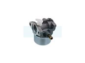 Carburateur pour moteur Briggs & Stratton (790120)