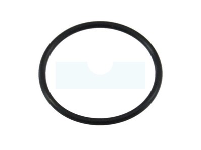 Joint torique pour moteur Briggs & Stratton (697123)