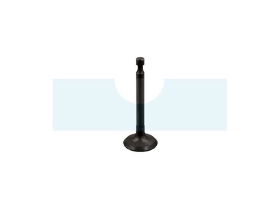 Soupape d'admission pour moteur Kawasaki (12004-2118)
