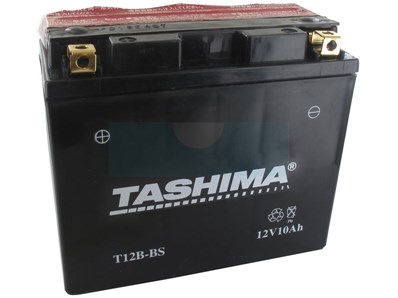 Batterie plomb étanche sans entretien 12V, 10Ah (FT12BBS)