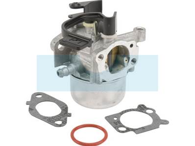 Carburateur pour moteur Briggs & Stratton (797736)