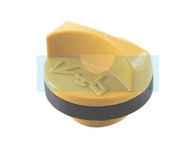 Bouchon d'huile pour moteur Briggs & Stratton (809500)