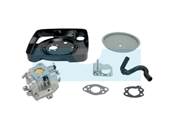 Carburateur pour moteur Briggs & Stratton (846082)