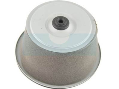 Filtre à air pour moteur Honda (172A1883902)