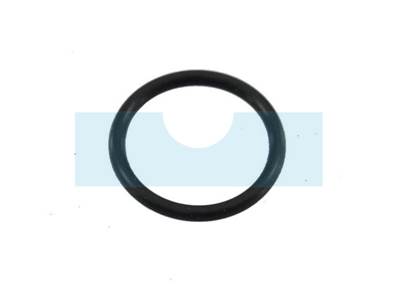 Joint torique pour moteur Briggs & Stratton (692053)