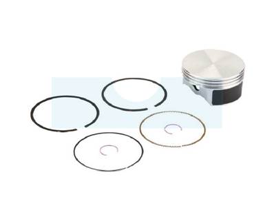 Kit piston segments pour moteur Briggs & Stratton (796172)