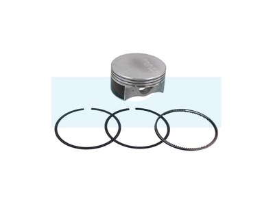 Piston pour moteur Briggs & Stratton (792307)