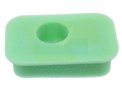 Filtre à air pour moteur Briggs & Stratton (270067)