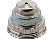 Bouchon d'essence pour moteur Briggs & Stratton (394818S)