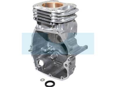 Carter cylindre pour moteur Briggs & Stratton (798947)