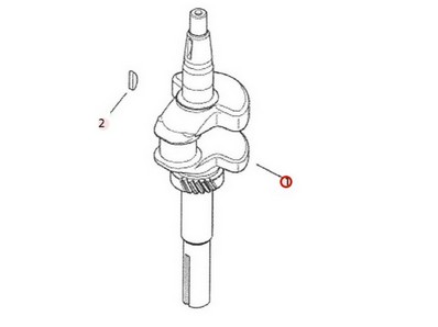 Vilebrequin pour moteur Kohler (1401481S)