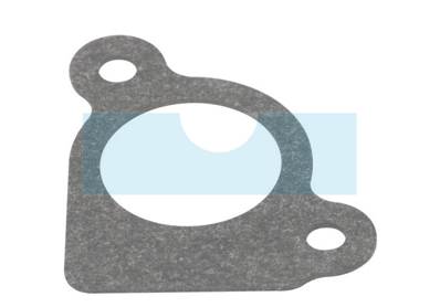 Joint d'admission pour moteur Briggs & Stratton (794306)