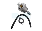 Carburateur pour moteur Briggs & Stratton (794572)