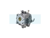 Carburateur pour moteur Briggs & Stratton (809011)