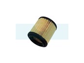Filtre à air pour As Motor (G06305012)