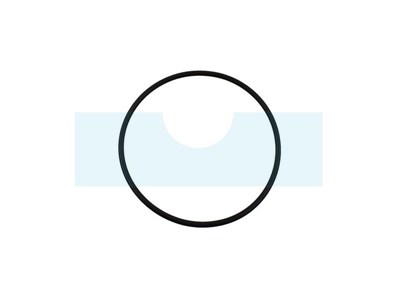 Joint torique 166 x 154 x 6 (OR1546P001)