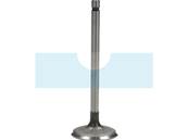 Soupape d'admission pour moteur Briggs & Stratton (792200)