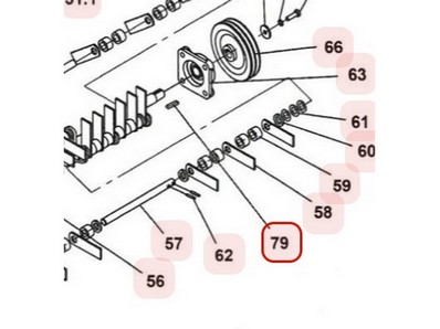 Clavette de rotor pour scarificateur Weibang (1101006020)