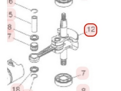 Vilebrequin pour moteur Zenoah (848E024204)