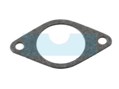 Joint d'admission pour moteur Briggs & Stratton (270070)