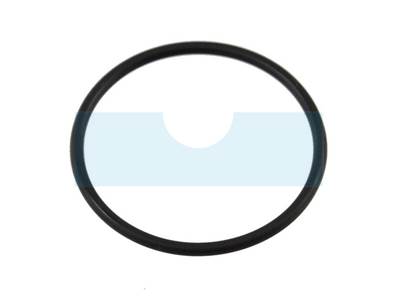 Joint torique de contre poids pour moteur Kawasaki (920552072)